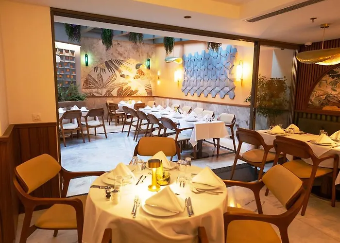 Kate Special Class &