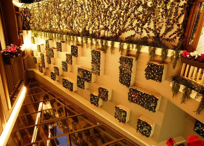 Kate Special Class & איסטמבול