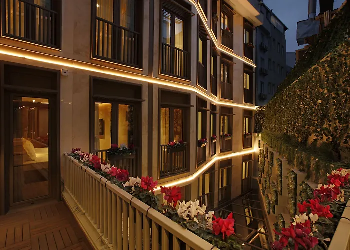 Kate Special Class & 4*