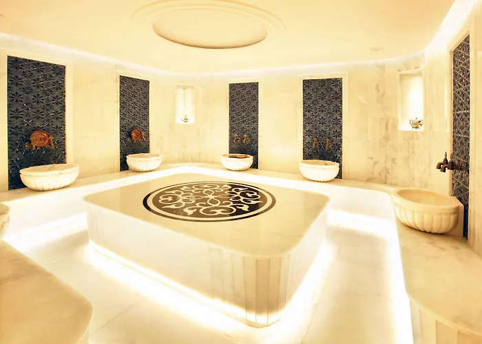 Kate Special Class &