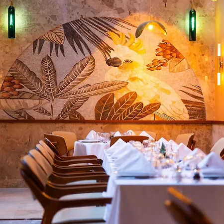 Kate Special Class&spa