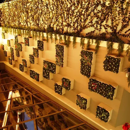 Kate Special Class & Istanbul