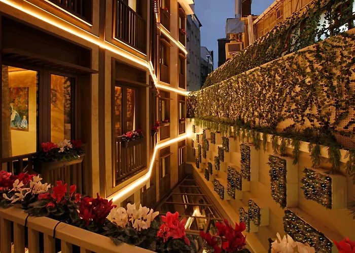 Kate Special Class & Istanbul