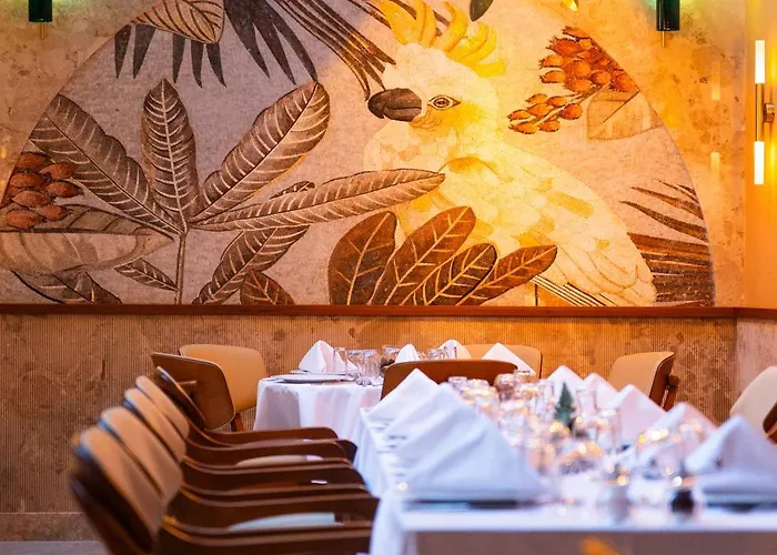 Kate Special Class &